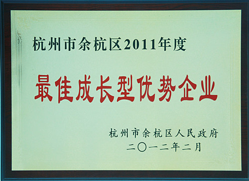 最佳成長(zhǎng)型優(yōu)勢(shì)企業(yè)